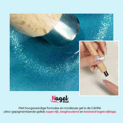 Magnetische Cat Eye Gellak Set | 8x9ml Kleuren + Magneet (HEMA-Vrij)